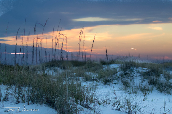 Sunset over sand dunes