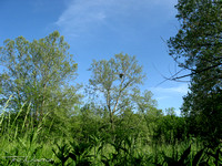 Photos taken from this distance